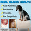 Anal Gland Support Chews for Dogs – Digestive & Bowel Health Formula