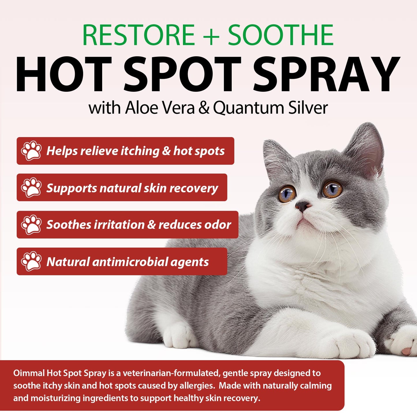 Cat Hot Spot Spray – Itch Relief, Skin Healing & Antimicrobial Care
