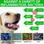 Natural Antibiotic Drops for Dogs – Gentle Daily Immune & Infection Support