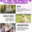 Oimmal 15-in-1 Liquid Multivitamin for Dogs – Immune, Joint, Skin & Heart Support (2 fl oz / 60 mL)