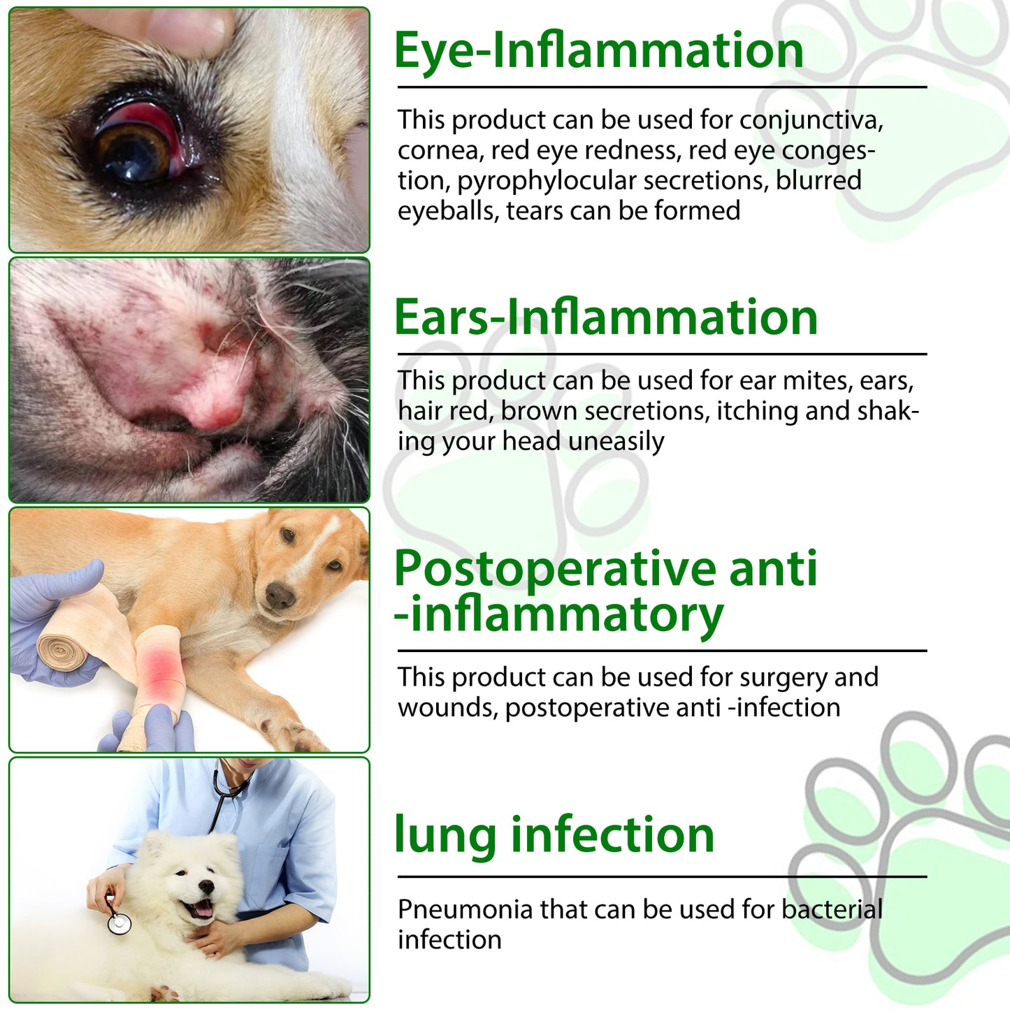 Natural Antibiotic Drops for Dogs – Gentle Daily Immune & Infection Support