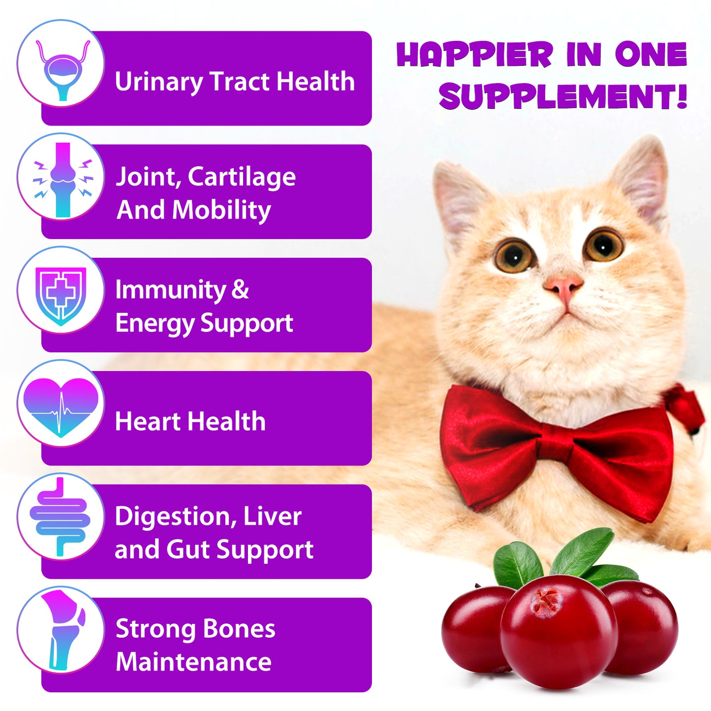 15-in-1 Cat Multivitamin Drops – Immune, Skin, Joint & Urinary Support