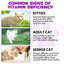 15-in-1 Cat Multivitamin Drops – Immune, Skin, Joint & Urinary Support