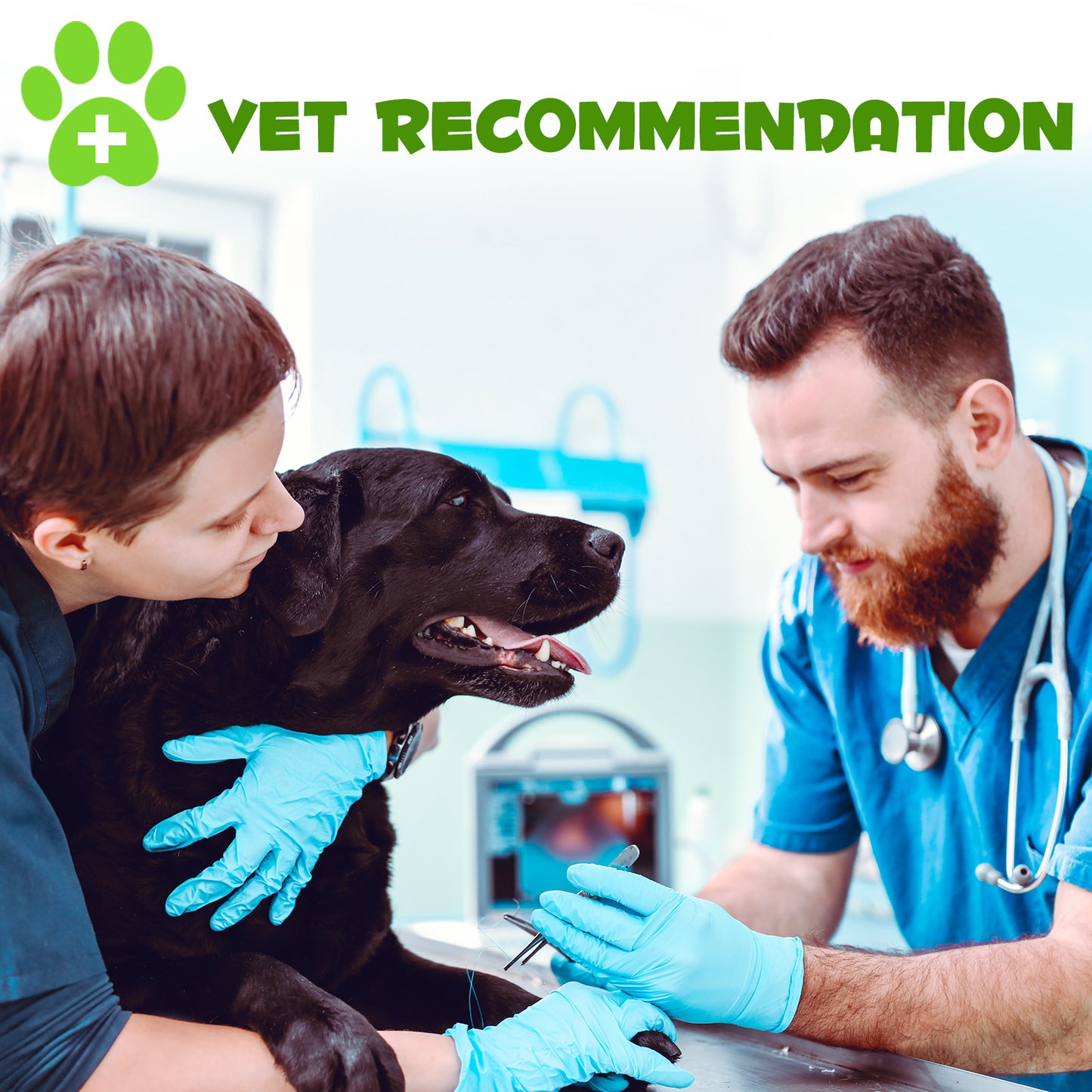 Oimmal 3-in-1 Probiotic for Dogs – Gut Health, Immunity & Energy Booster (2 fl oz / 60 mL)