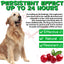 Cranberry Urinary Tract Support for Dogs – Bladder & Kidney Health Drops