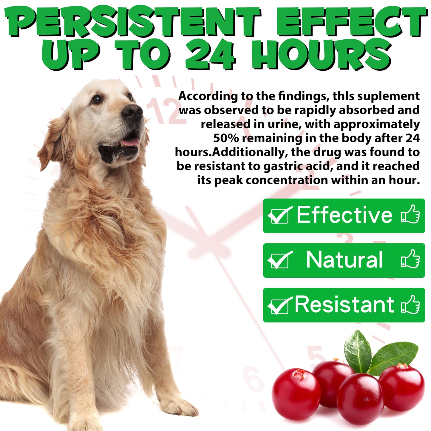 Cranberry Urinary Tract Support for Dogs – Bladder & Kidney Health Drops