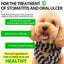 Natural Antibiotic Drops for Dogs – Gentle Daily Immune & Infection Support