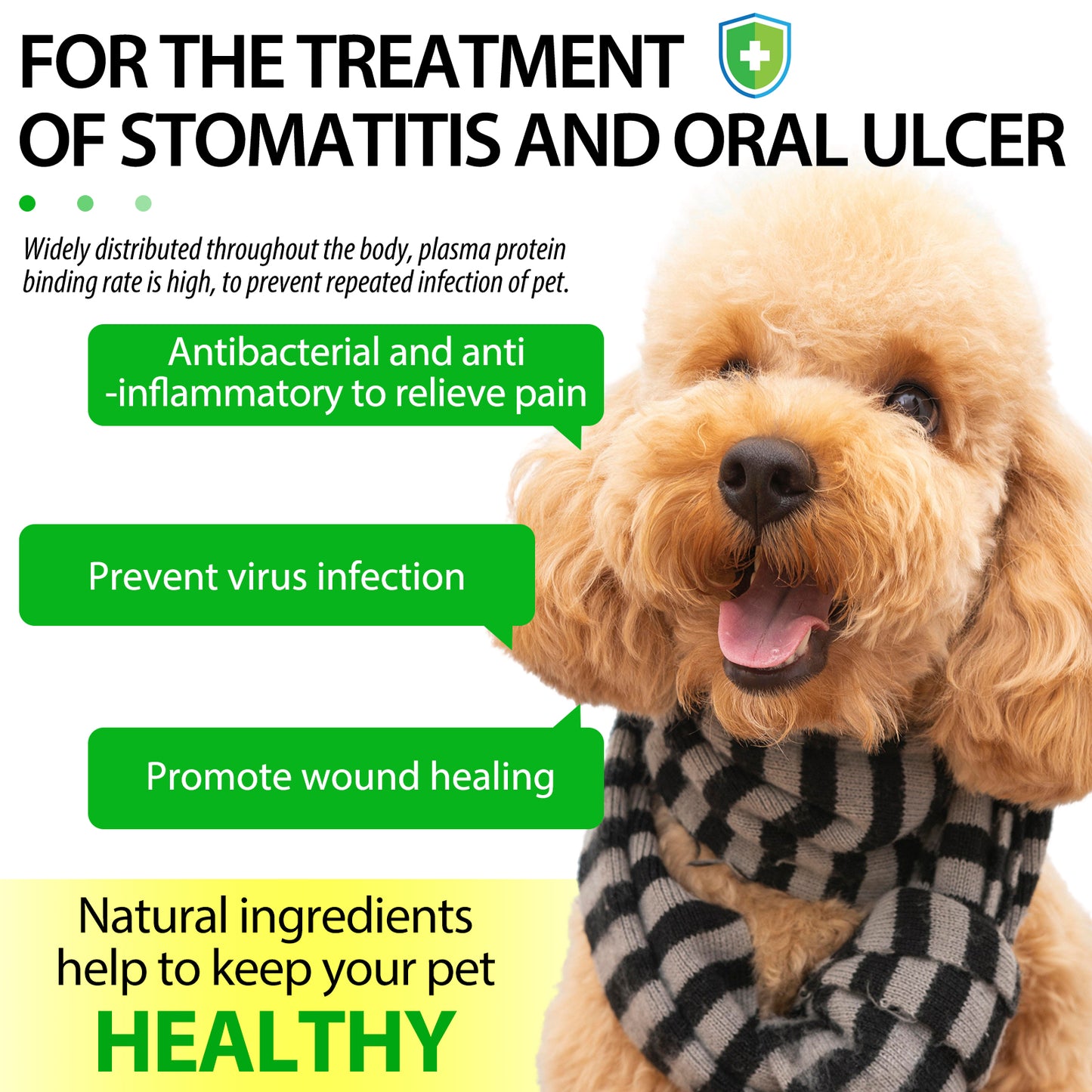 Natural Antibiotic Drops for Dogs – Gentle Daily Immune & Infection Support