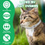 Flea & Tick Collar for Cats – Long-Lasting Protection, Adjustable & Waterproof