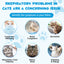 Kennel Cough Relief Drops for Cats – Respiratory & Immune Support Formula 60ml