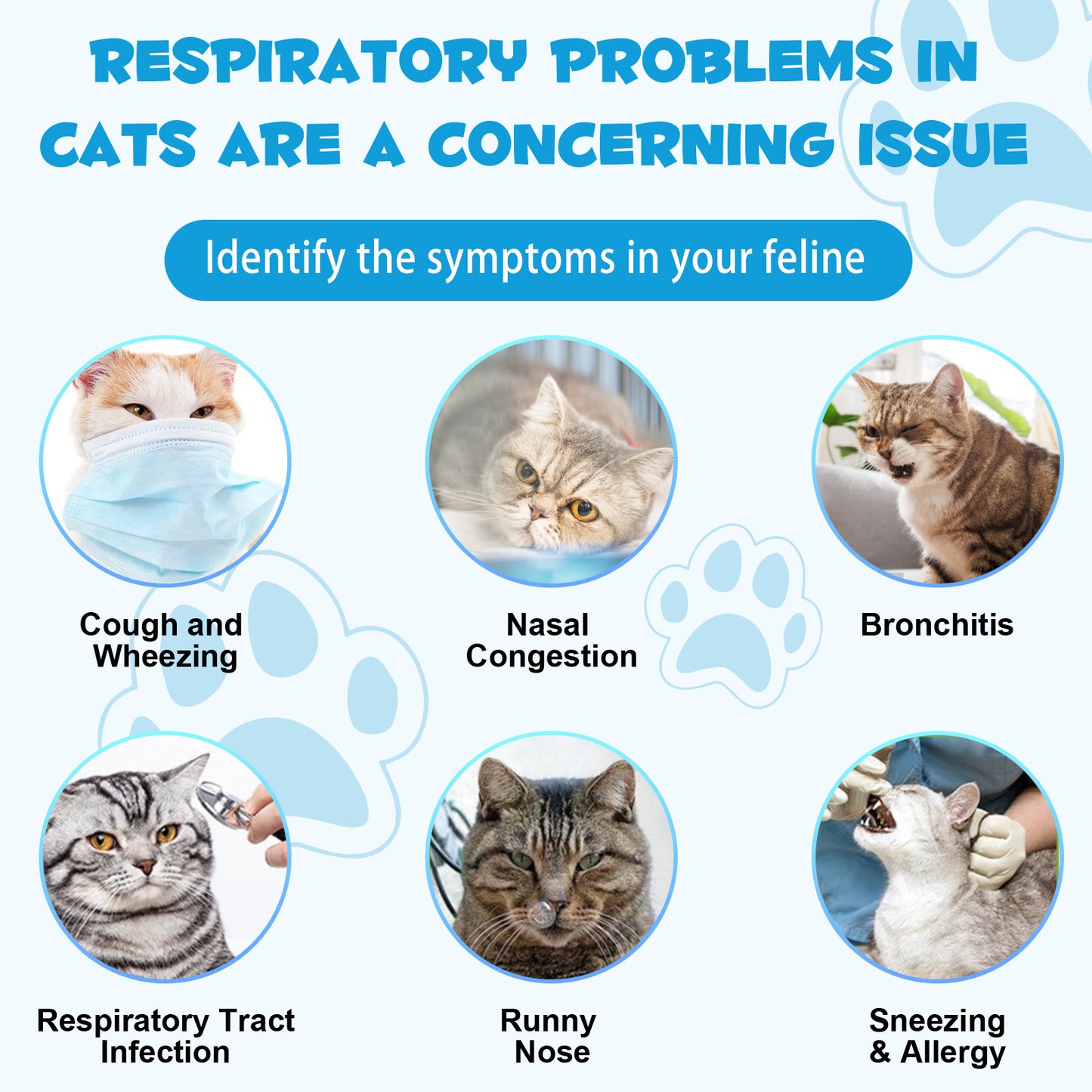 Kennel Cough Relief Drops for Cats – Respiratory & Immune Support Formula 60ml