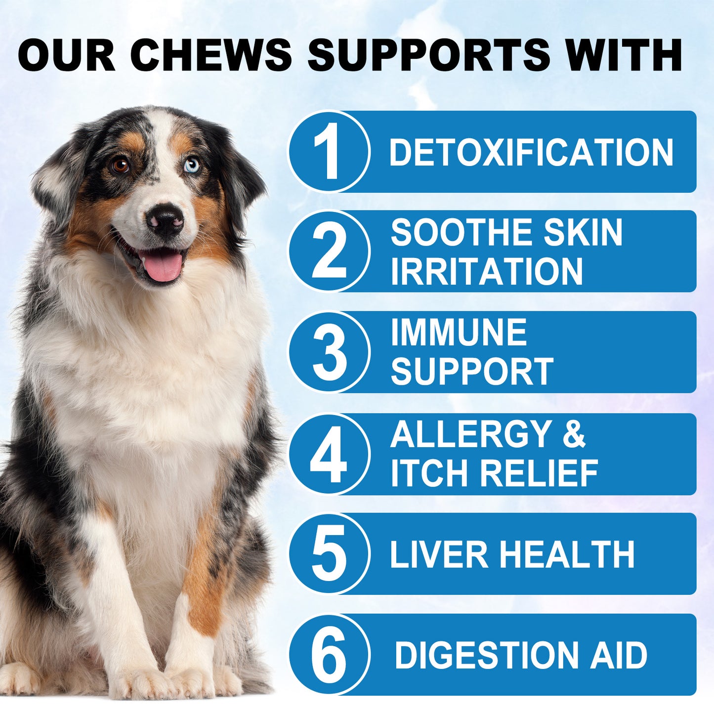 Oimmal Tasty Daily Chews for Itch Relief & Immune Support 150 Soft Chews