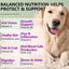 Oimmal 15-in-1 Multivitamin Soft Chews for Dogs – Hip & Joint, Skin & Coat, Gut & Heart Health (150 Count)