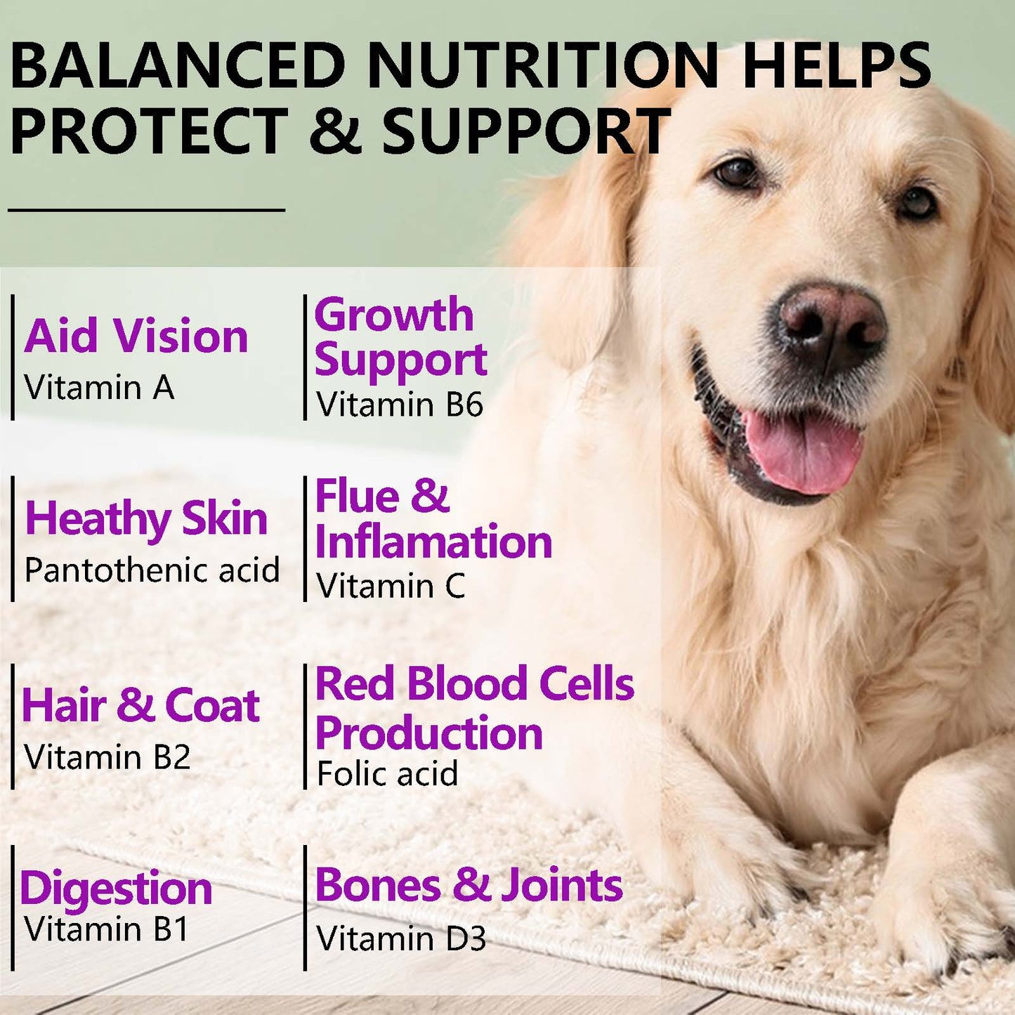 Oimmal 15-in-1 Multivitamin Soft Chews for Dogs – Hip & Joint, Skin & Coat, Gut & Heart Health (150 Count)