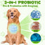 Oimmal 3-in-1 Probiotic for Dogs – Gut Health, Immunity & Energy Booster (2 fl oz / 60 mL)