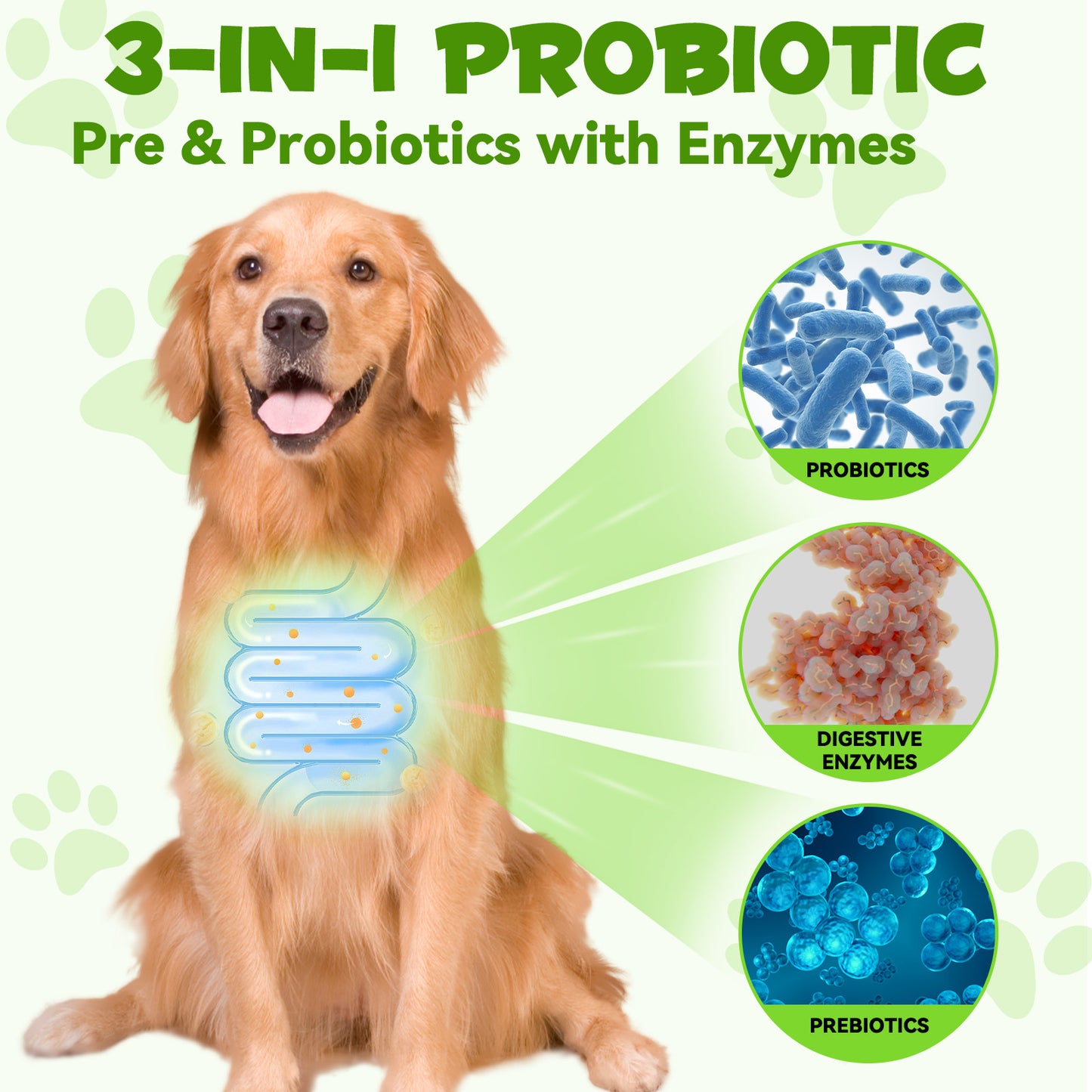 Oimmal 3-in-1 Probiotic for Dogs – Gut Health, Immunity & Energy Booster (2 fl oz / 60 mL)