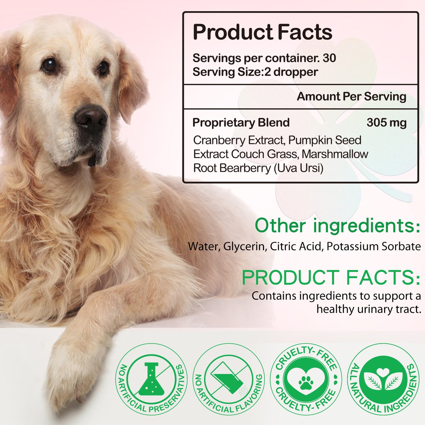 Cranberry Urinary Tract Support for Dogs – Bladder & Kidney Health Drops