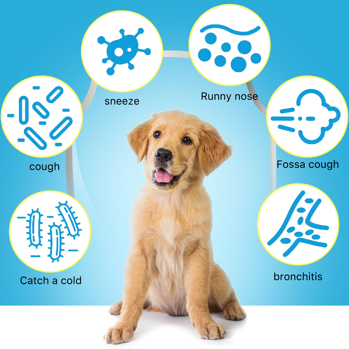 Kennel Cough Relief Drops for Dogs – Soothe Cough & Support Immunity