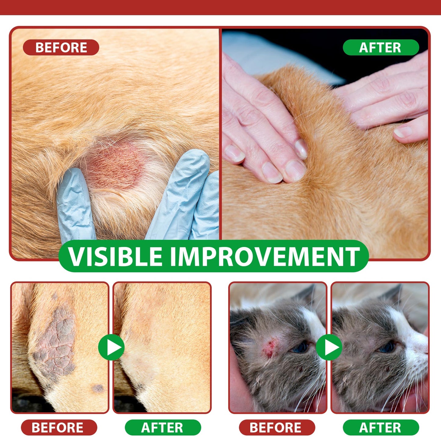Cat Hot Spot Spray – Itch Relief, Skin Healing & Antimicrobial Care