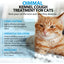 Kennel Cough Relief Drops for Cats – Respiratory & Immune Support Formula 60ml