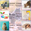 15-in-1 Cat Multivitamin Drops – Immune, Skin, Joint & Urinary Support