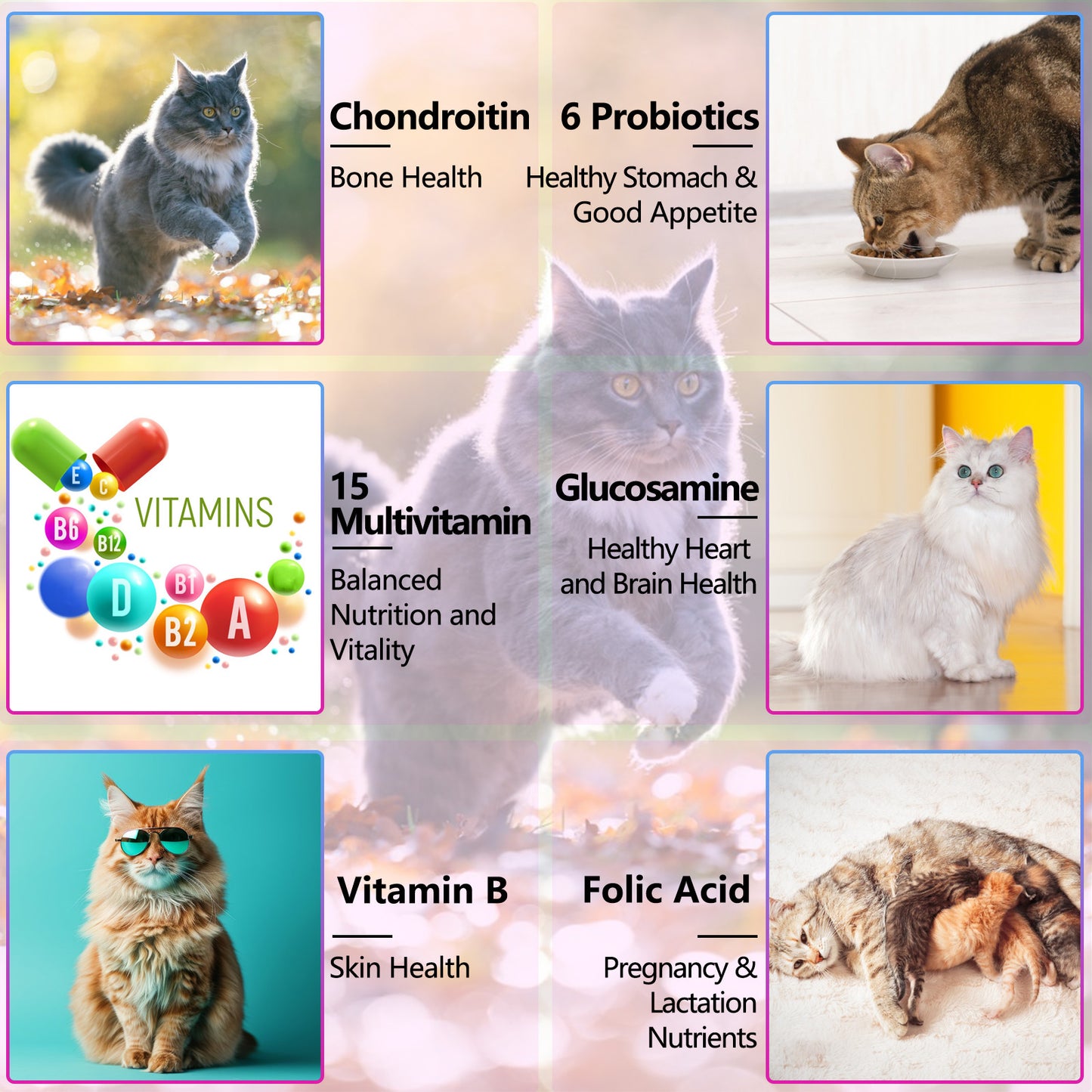 15-in-1 Cat Multivitamin Drops – Immune, Skin, Joint & Urinary Support