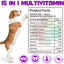 Oimmal 15-in-1 Liquid Multivitamin for Dogs – Immune, Joint, Skin & Heart Support (2 fl oz / 60 mL)