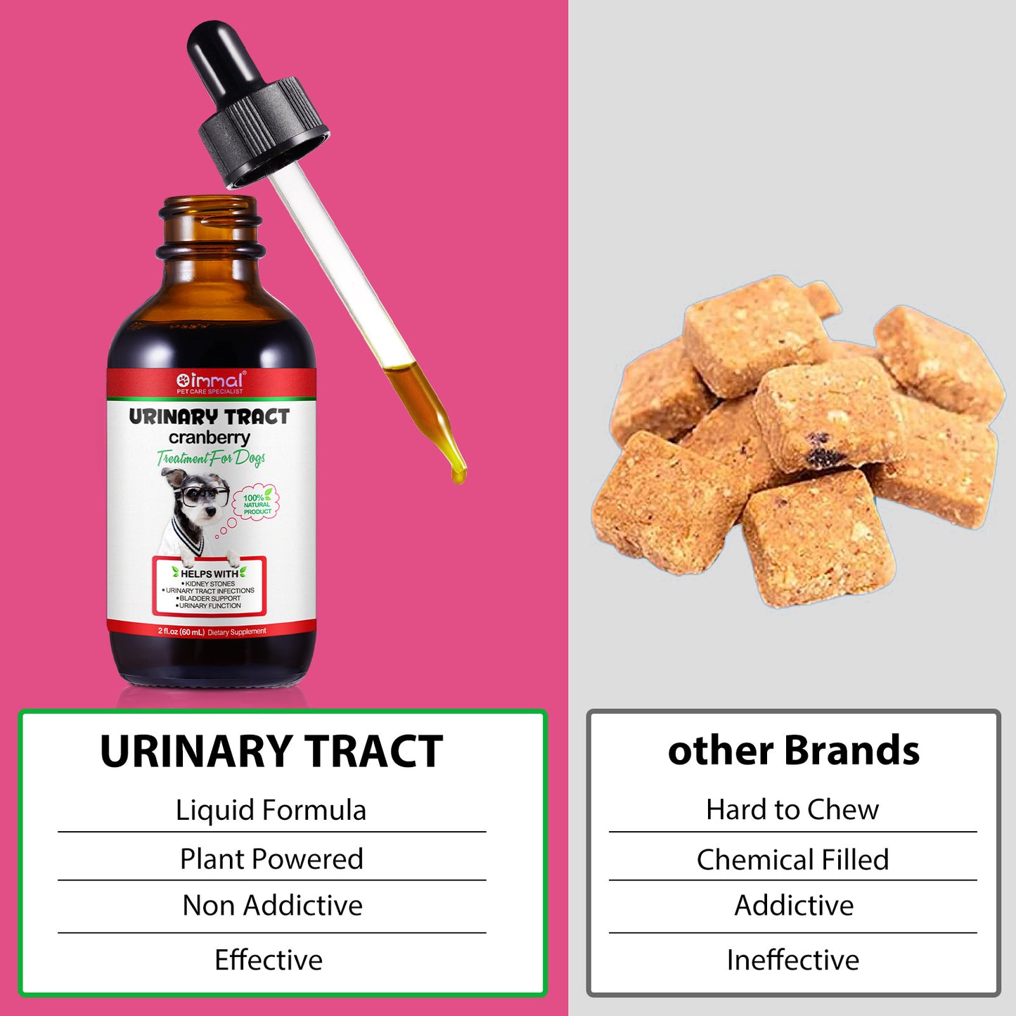Cranberry Urinary Tract Support for Dogs – Bladder & Kidney Health Drops