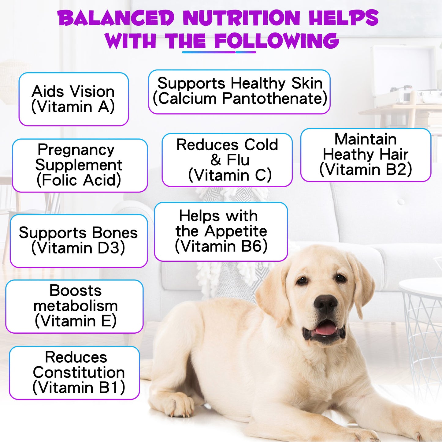 Oimmal 15-in-1 Liquid Multivitamin for Dogs – Immune, Joint, Skin & Heart Support (2 fl oz / 60 mL)