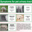 Cranberry Urinary Tract Support for Dogs – Bladder & Kidney Health Drops
