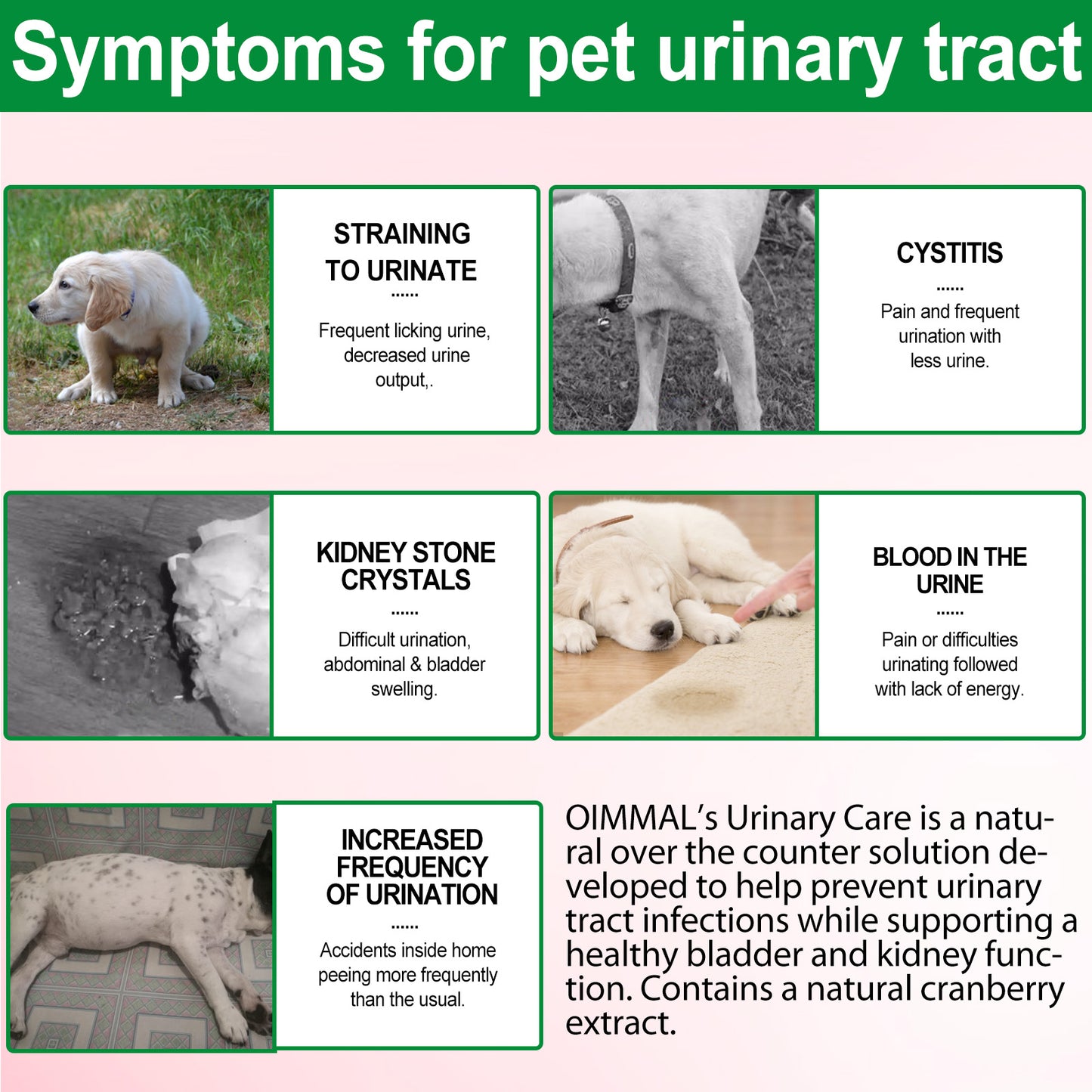 Cranberry Urinary Tract Support for Dogs – Bladder & Kidney Health Drops