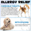 Oimmal Tasty Daily Chews for Itch Relief & Immune Support 150 Soft Chews