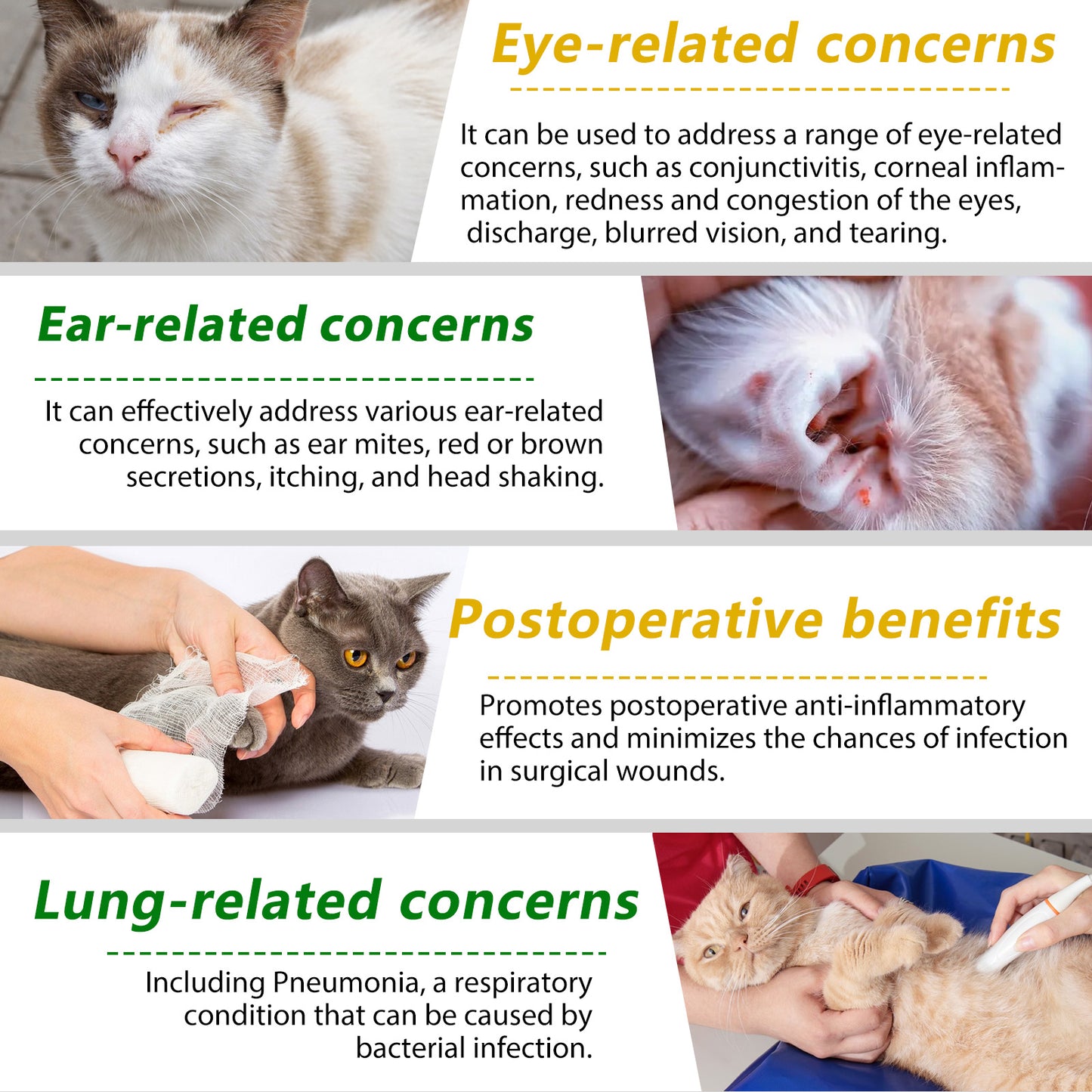 Natural Antibiotic Drops for Cats – Immune, Skin & Infection Support