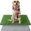 Reusable Dog Toilet, High Permeability Artificial Grass Dog Toilet with Washable Puppy Mat, Puppy Toilet for Home or Apartment