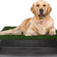 PETMAKER Replacement Artificial Grass Pee Pads – Set of 3 Pads for Puppy