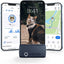 Tractive Smart Cat GPS Tracker | Real-Time Location & Wellness Monitoring for Cats 6.5 lbs+