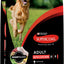 Adult Chicken Dry Dog Food 12kg
