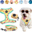3-Piece Walkies Bundle [Pipco Pets] - Adjustable Dog Harness + Lead + Poo Bag Dispenser | Medium