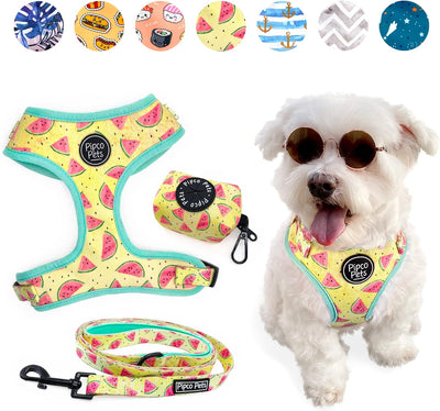 3-Piece Walkies Bundle [Pipco Pets] - Adjustable Dog Harness + Lead + Poo Bag Dispenser | Medium