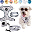 4-Piece Walkies Bundle [Pipco Pets] - Adjustable Dog Harness + Collar + Lead + Poo Bag | (XS, Gettin' Ziggy)