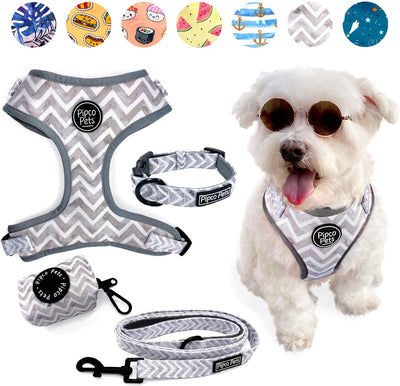4-Piece Walkies Bundle [Pipco Pets] - Adjustable Dog Harness + Collar + Lead + Poo Bag | (XS, Gettin' Ziggy)