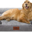 Comfort Expression Waterproof Orthopedic Dog Bed Foam Dog Beds for Extra Large