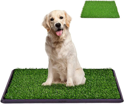 Indoor Dog Potty Toilet Grass Tray Pads Training Puppy Medium Mat (Pet Potty with 2 Grass Mat)