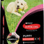 Puppy Chicken Dry Dog Food 12kg