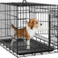 Advwin 24" Dog Cage Pet Crate Puppy Cat Foldable Metal Kennel 2 Doors with Removable Tray