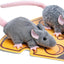Catnip Mouse Toy and Sound Mouse Toy Sets for Indoor Cats-2pcs