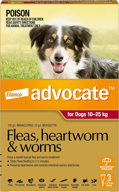 Advocate Dog, Monthly Spot-On Protection from Fleas, Heartworm & Worms, Three Pack Flea Treatment for Large Dogs 10-25 kg, 3 Pack