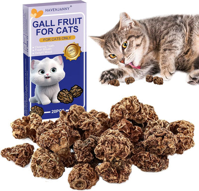 HavenJanny 20pcs Dried Silvervine Gall Fruit, Natural Silver Vine Cat Chew Toy