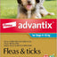 Advantix Flea, Tick & Biting Insect Control for Medium Dogs, Aqua, 6 Pack