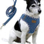Premium Denim Dog Harness and Leash Set (Baby Blue, S)